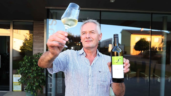 Gute Aussichten auf den Sieg hat Spitzenwinzer Horst Schmelzer aus Gols mit einem Sauvignon ...
