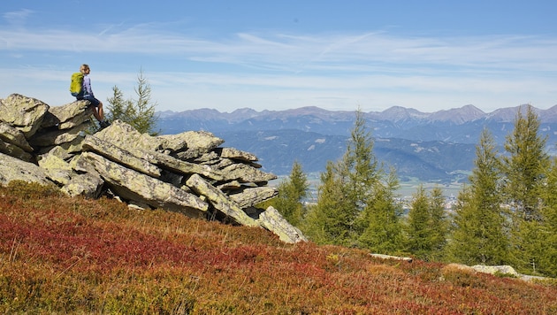 Der Herbst zieht ins Land, taucht Blätter und Almen sanft in die prächtigsten Farben.