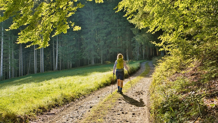 Für viele Einheimische und Urlauber ist das die schönste Zeit des Jahres.
