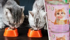 Katzen hätten für eine volle Packung Futter wohl schnell Verwendung. Dass ungeöffnete Ware nach ...