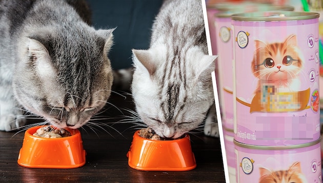 Katzen hätten für eine volle Packung Futter wohl schnell Verwendung. Dass ungeöffnete Ware nach ...