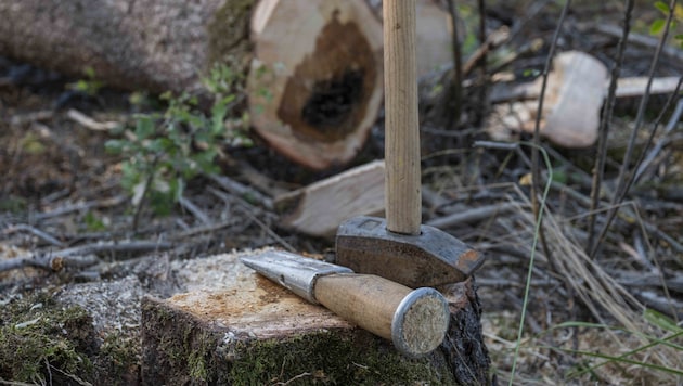 The accident occurred during forestry work in Ebensee (stock photo).