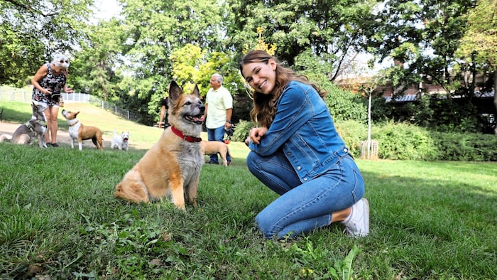 Was im Alltag mit Hund für ein faires Zusammenleben wichtig ist.