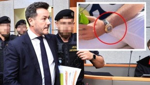 Der Oberste Gerichtshof hat den Schuldspruch gegen René Benko in der Causa um mehrere wertvolle ...