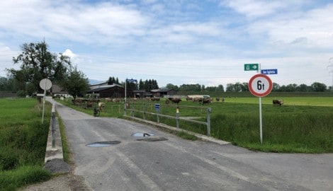 In Altach gibts Ärger wegen der Wiederverfüllung der Kiesgrube im Sauwinkel.