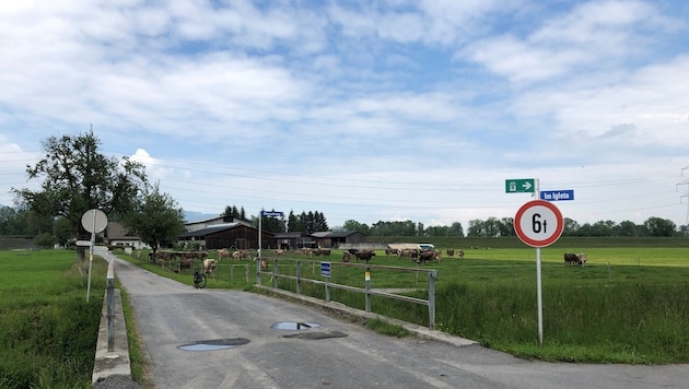 In Altach gibts Ärger wegen der Wiederverfüllung der Kiesgrube im Sauwinkel.