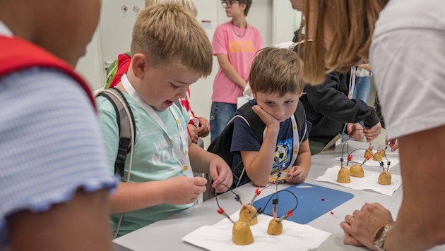 Bei über 100 Stationen können Kinder etwa Strom mit Kartoffeln erzeugen.