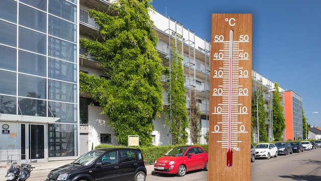 Hitzeschutz wie etwa Fassadenbepflanzung soll der Klimaausweis vorschreiben.