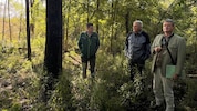 Kärntens Wälder erleben eine Umstrukturierung. 