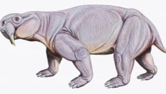 Dinodontosaurus