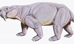 Dinodontosaurus