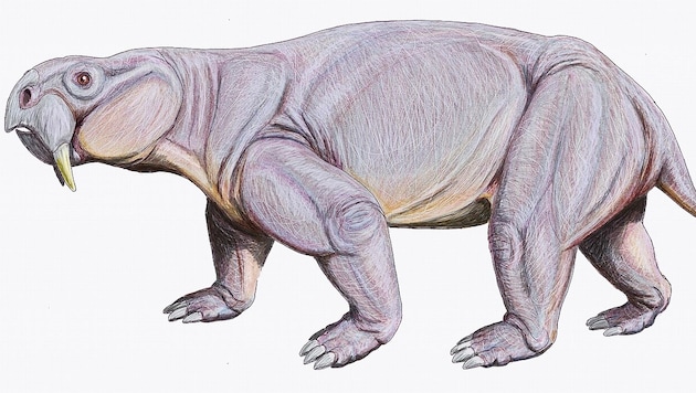 Dinodontosaurus