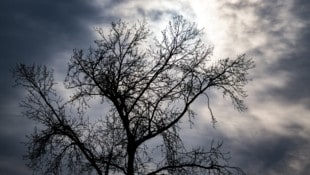 Die letzten Schauer ziehen am Abend vielerorts ab, die Wolken lockern auf. In der Nacht wird es ...