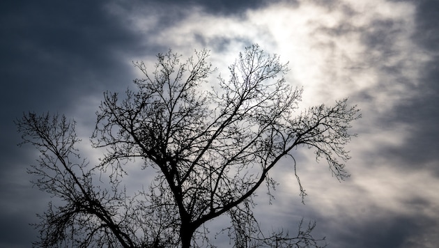 Die letzten Schauer ziehen am Abend vielerorts ab, die Wolken lockern auf. In der Nacht wird es ...
