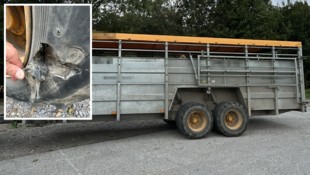 Der Tiertransporter wies massive Mängel auf.