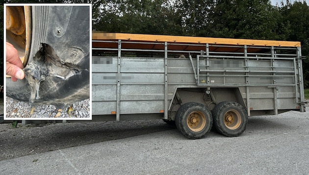 Der Tiertransporter wies massive Mängel auf.