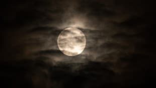 Am kommenden Samstag, dem 26. September, ist es so weit: Der nächste Vollmond steht am ...