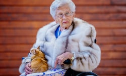 Nur einen Tag nach dem Begräbnis von Prinzessin Astrid, wurde bekannt, dass auch ihre „Wilma“ ...