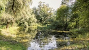Der Teich ist Heimat vieler Amphibien, die jetzt ein schützendes Leitsystem erhalten sollen.