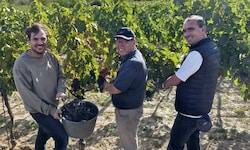 Michael und Andreas Liegenfeld helfen im Weingarten von Herbert Oschep bei der Ernte mit.