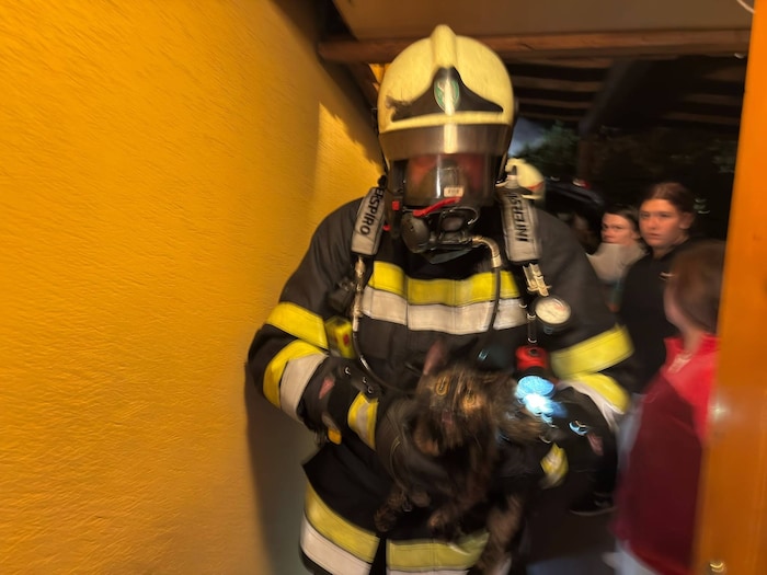 Das arme Tier konnte in letzter Sekunde von den Feuerwehrleuten gerettet werden.