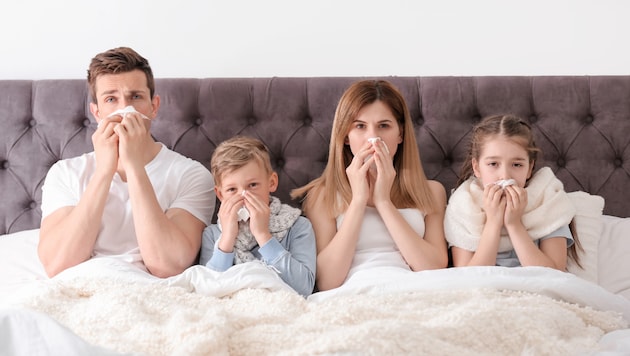 Die Nase rinnt – eine Allergie kann dahinterstecken.