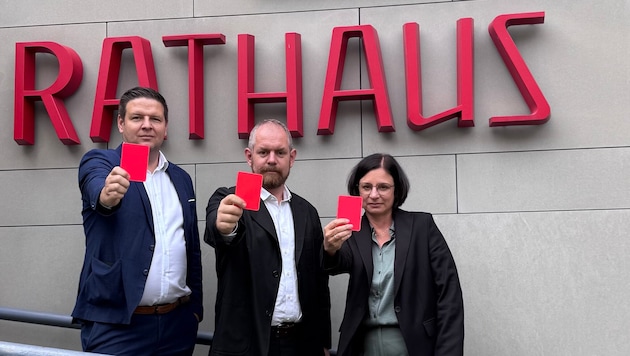 Philipp Kreinbucher-Tyler , Simon Vetter und Ruth Lukesch (v.l.).