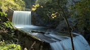 Die Talbachklamm in Schladming zieht jährlich Tausende Besucher an.