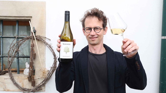Mit seinem erlesenen Chardonnay Kalkschicht 2024 greift Spitzenwinzer Leo Sommer aus ...