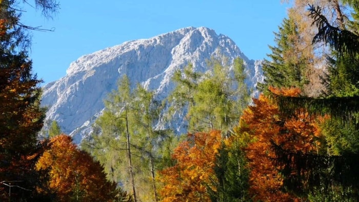 Der Herbst spielt mit prächtigen Farben – wie hier in den Mieminger Bergen.