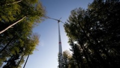 Windrad auf dem Schildberg – Standort im Wald ist laut Wissenschafter kein Problem.