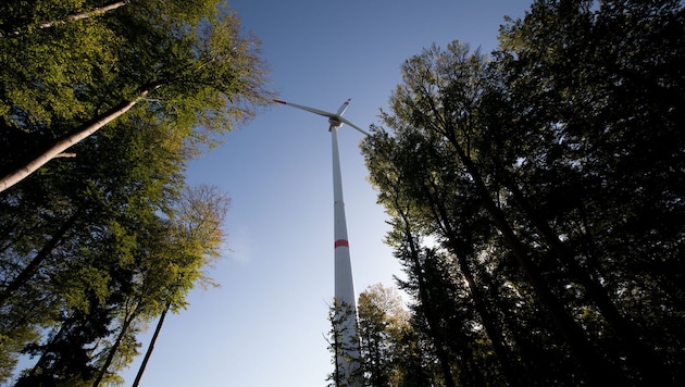 Windrad auf dem Schildberg – Standort im Wald ist laut Wissenschafter kein Problem.