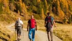 10.000 Kilometer Wanderwege betreuen die Salzburger Tourismusverbände.