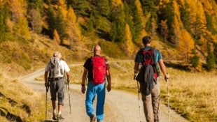 10.000 Kilometer Wanderwege betreuen die Salzburger Tourismusverbände.