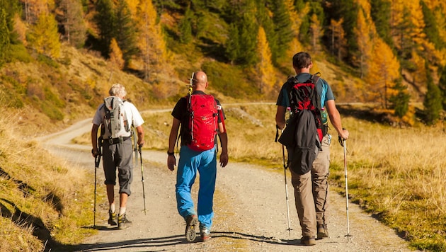 10.000 Kilometer Wanderwege betreuen die Salzburger Tourismusverbände.