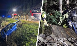 Das Auto stürzte rund 20 Meter in den angrenzenden Wald ab.