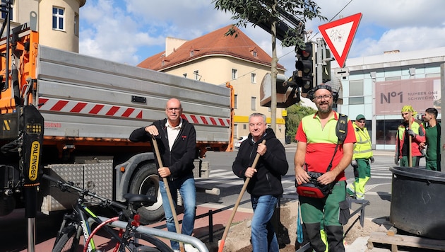 Baumpflanzung am Schwechater Hauptplatz mit SPÖ-Vizebürgermeister Christian Habisohn (li.)