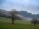 Einmal mehr können sich Nebel und Hochnebel bilden, vereinzelt auch Bodenfrost.