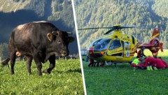 Der Bauer und dessen Angehörige wurden vom Stier angegriffen. Die Frau musste mit dem ...