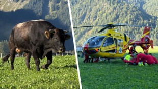 Der Bauer und dessen Cousine wurden vom Stier angegriffen. Die Frau musste mit dem ...