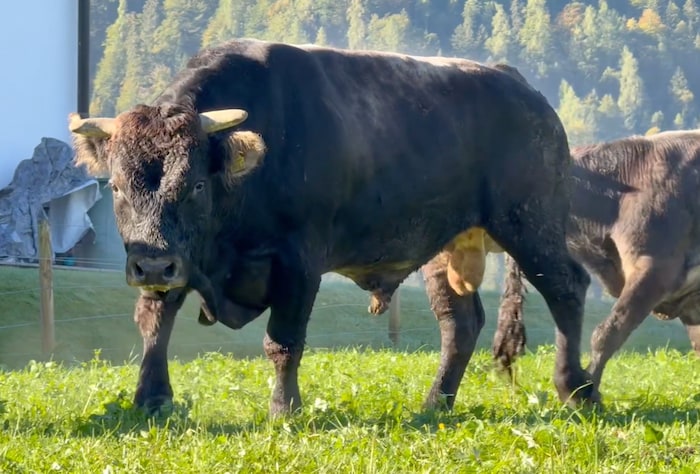 Als die Einsatzkräfte eintrafen, befanden sich die Verletzten bereits in einem sicheren Bereich.