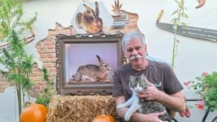 Kater „Pinki“ hielt für das Pressefoto still – sichtlich aber nur einen Moment: Im Hintergrund ...
