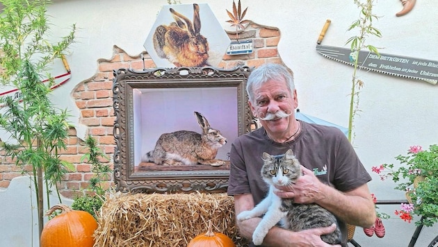 Kater „Pinki“ hielt für das Pressefoto still – sichtlich aber nur einen Moment: Im Hintergrund ...