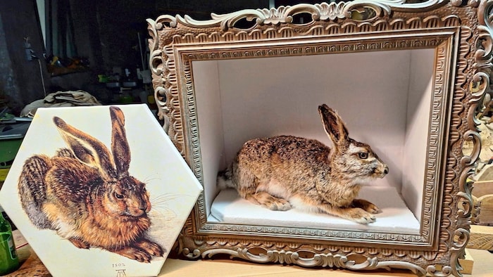 Etwas andere Perspektive – aber im Prinzip ganz originalgetreu: Dürers Hasen in der 3D-Version ...