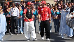 Lewis Hamilton und Charles Leclerc zählen zu den beliebtesten Fahrern bei den Fans