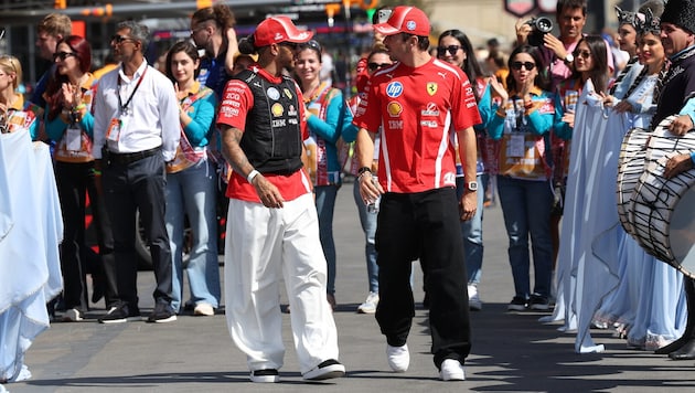 Lewis Hamilton und Charles Leclerc zählen zu den beliebtesten Fahrern bei den Fans