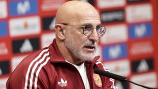 Spaniens Trainer Luis de la Fuente