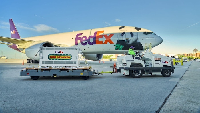 Washington hatte erfahrene Tierpfleger entsandt, um das Pandapaar auf seinem Flug in die USA zu ...