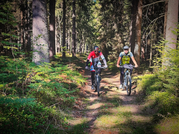 Durch Wälder entlang von Forstwegen.