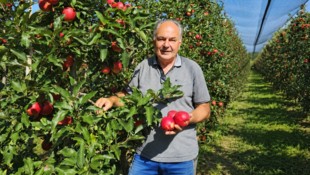 Burgenlands Obstbaupräsident Johann Plemenschits lässt mit einer unkonventionellen Strategie ...